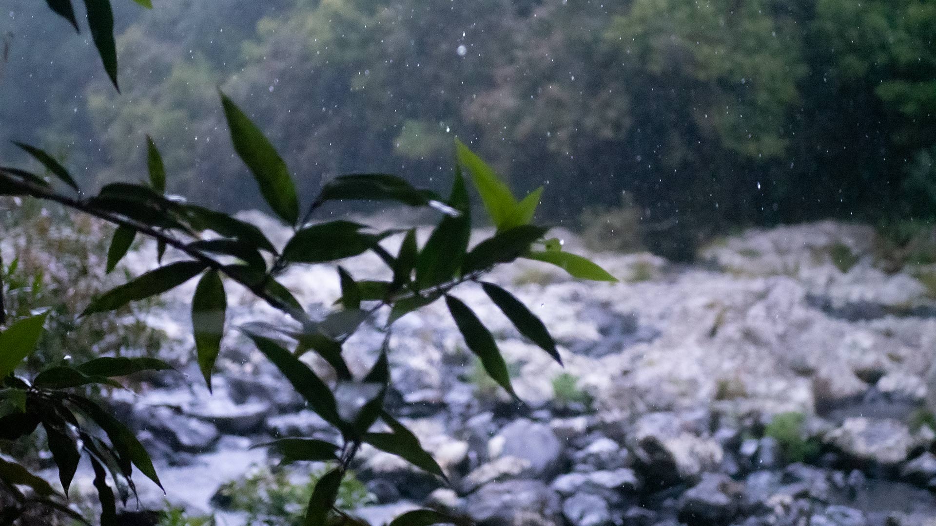 Météo à La Réunion : Dégradation pluvieuse attendue ces prochains jours