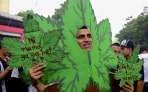 Cannabis: L'Uruguay devient le premier pays au monde à en légaliser la vente et la production