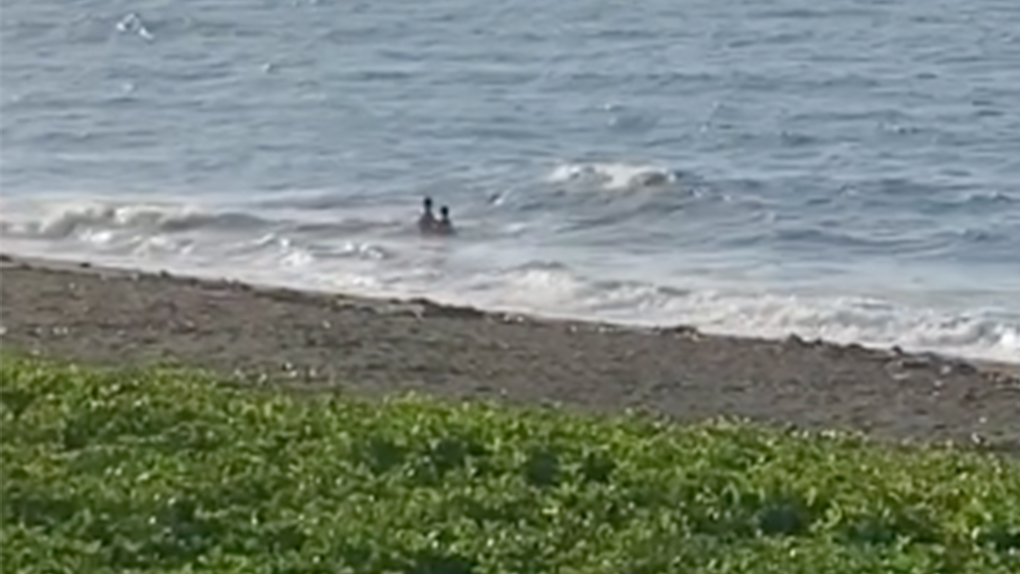 Vidéo - Des enfants se baignent en baie de Saint-Paul