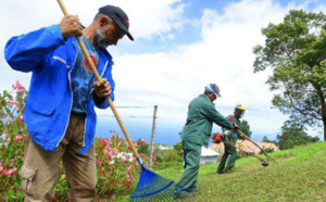 En 2013, 26.500 Réunionnais ont bénéficié d'un contrat aidé