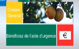 Conseil Général: Un million d'euros pour les agriculteurs sinistrés par Bejisa