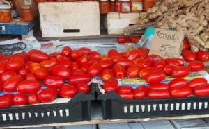Les tomates sont rares... Et chères !