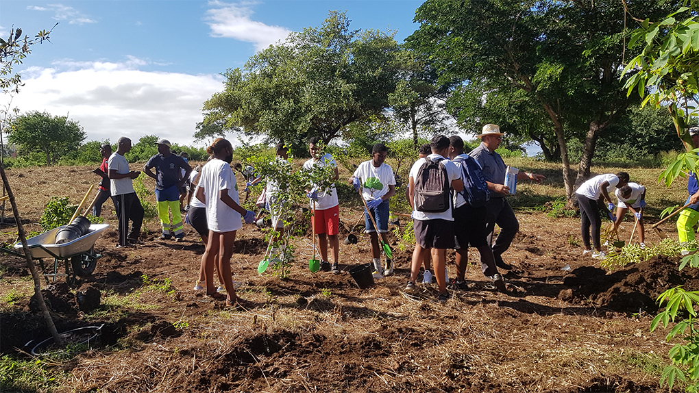 200 arbres plantés à Casabona pour lancer le futur site paysager