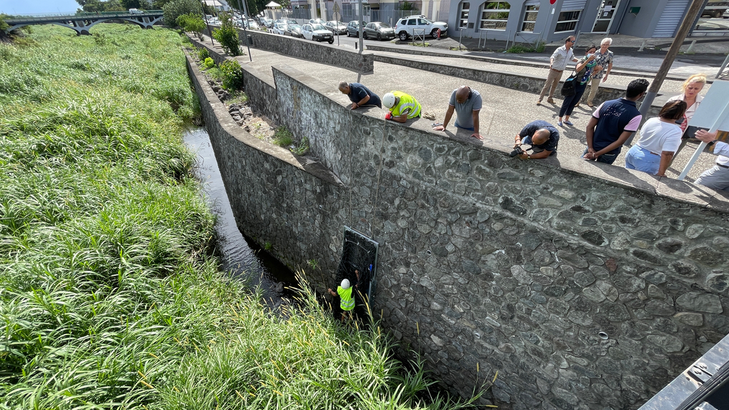 Cinor : Des filets anti-pollution posés dans quatre cours d'eau pour lutter contre les déchets