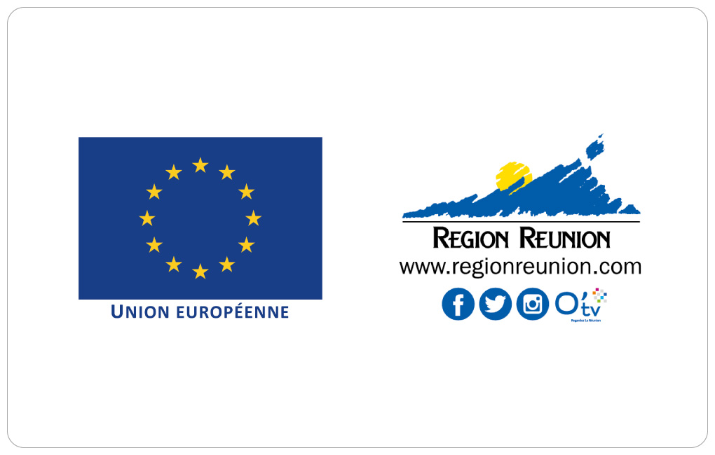 Région Réunion : Résumé de l'avis - Marché à procédure adaptée