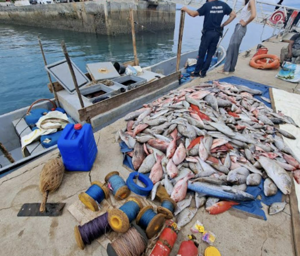 Pêche : Un navire transportant illégalement 3,5 tonnes de poisson congelé intercepté