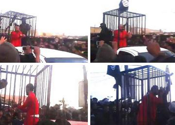 Daesh exhibe des prisonniers kurdes enfermés dans des cages