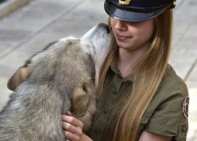 La Norvège expérimente une "police pour animaux"