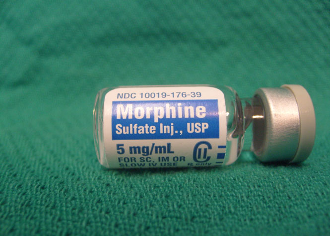 La morphine pourrait être produite à partir de levures génétiquement modifiées et de sucre