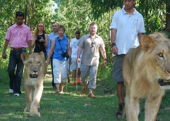 Maurice : Plus de 450.000 visiteurs en un an au parc animalier Casela