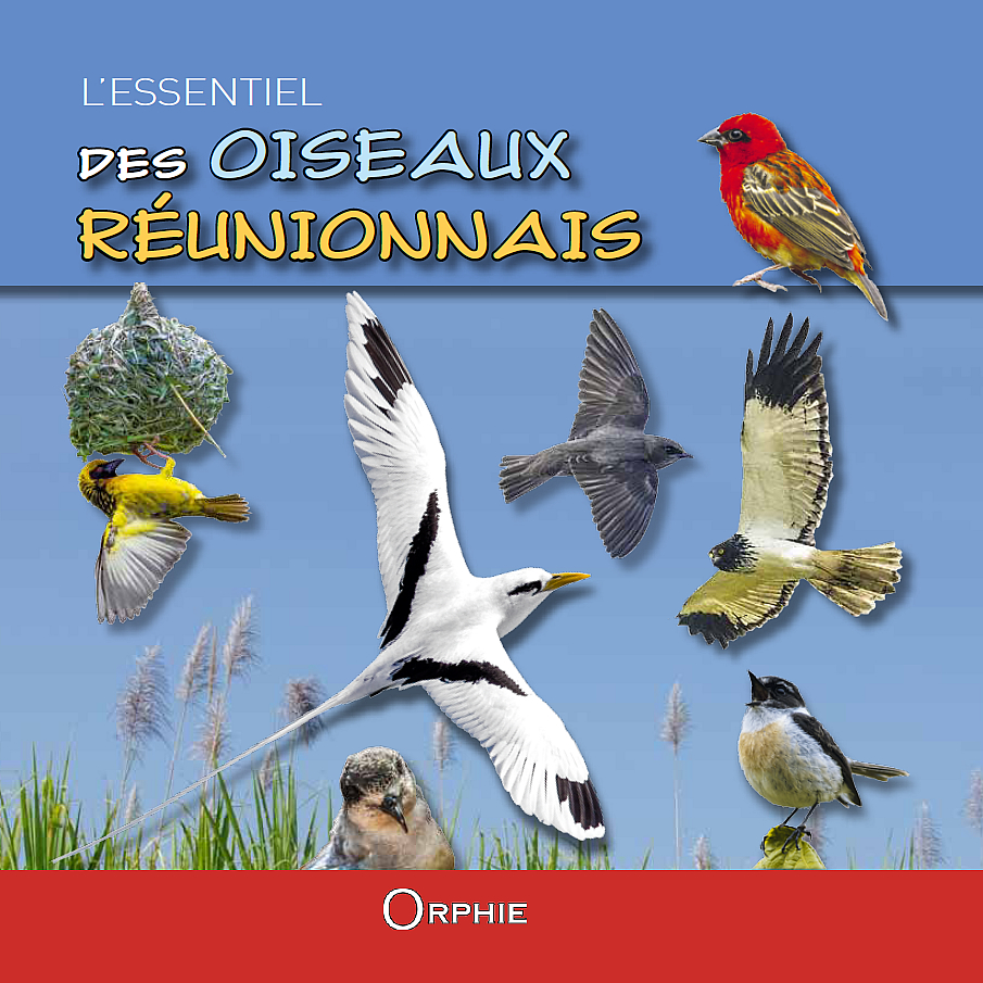 Sortie en librairie de "L’essentiel des oiseaux de La Réunion"