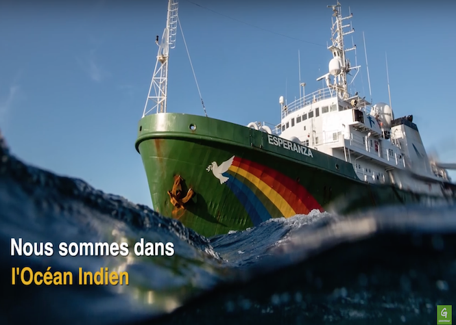 Capture d'écran de la vidéo de Greenpeace "Pêche au thon: l'envers du décor"