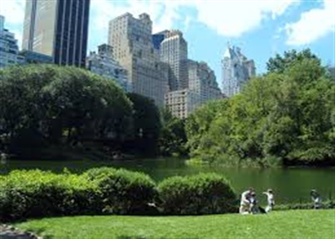 New York : Un homme amputé après une explosion dans Central Park
