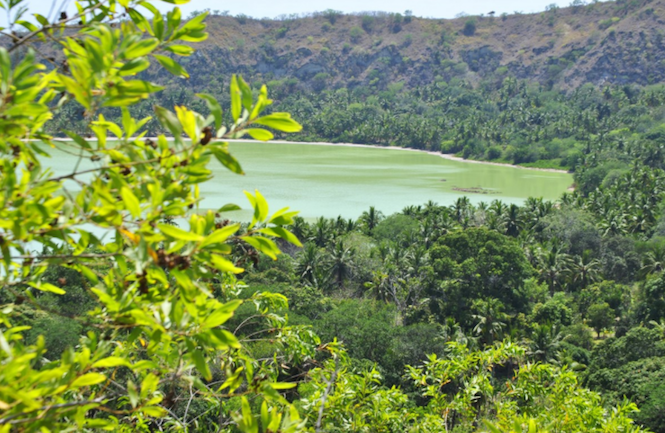 Mayotte: Un projet de création d'une réserve naturelle pour protéger 3000 hectares de forêts