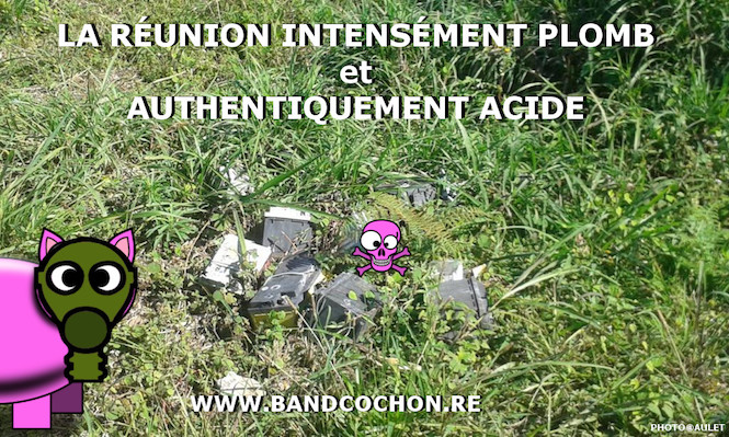 Band cochons: "La Réunion intensément plomb et authentiquement acide"