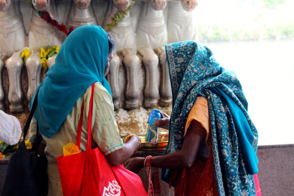 Le pèlerinage de Maha Shivaratree : Un moment de recueillement mais aussi une fête  