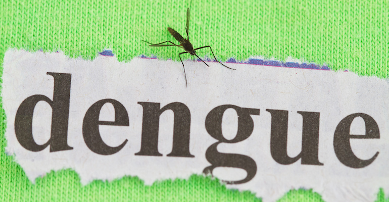 L’épidémie de dengue se stabilise à haut niveau dans l’ouest et le sud