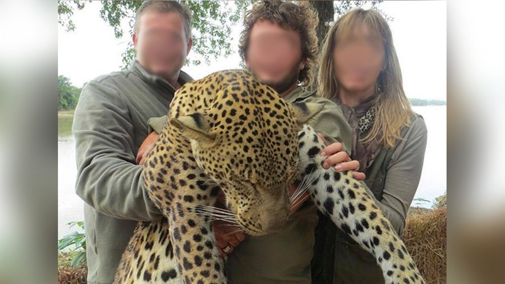 📷 Après la diffusion des photos de leur safari de chasse, les propriétaires d’un Super U démissionnent