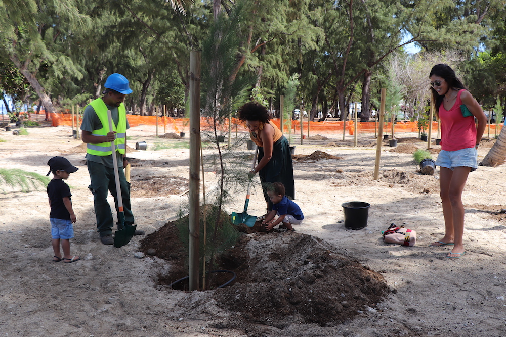 Opération “4 000 arbres” : les 100 premiers végétaux plantés à l’Hermitage