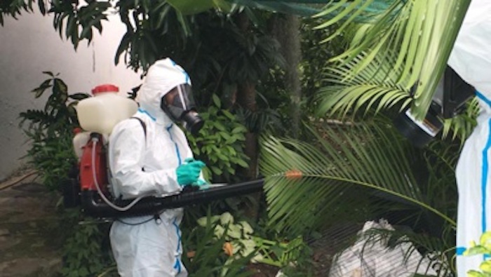 Dengue à La Réunion : 6 cas confirmés du 25 novembre au 1er décembre 2019