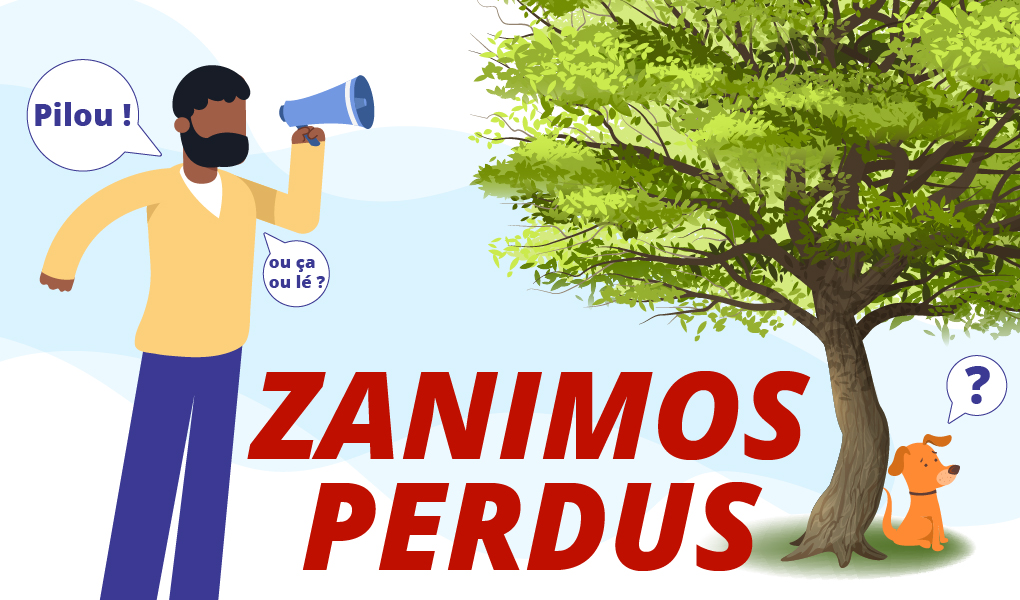 Zanimos: la nouvelle rubrique de Zinfos974