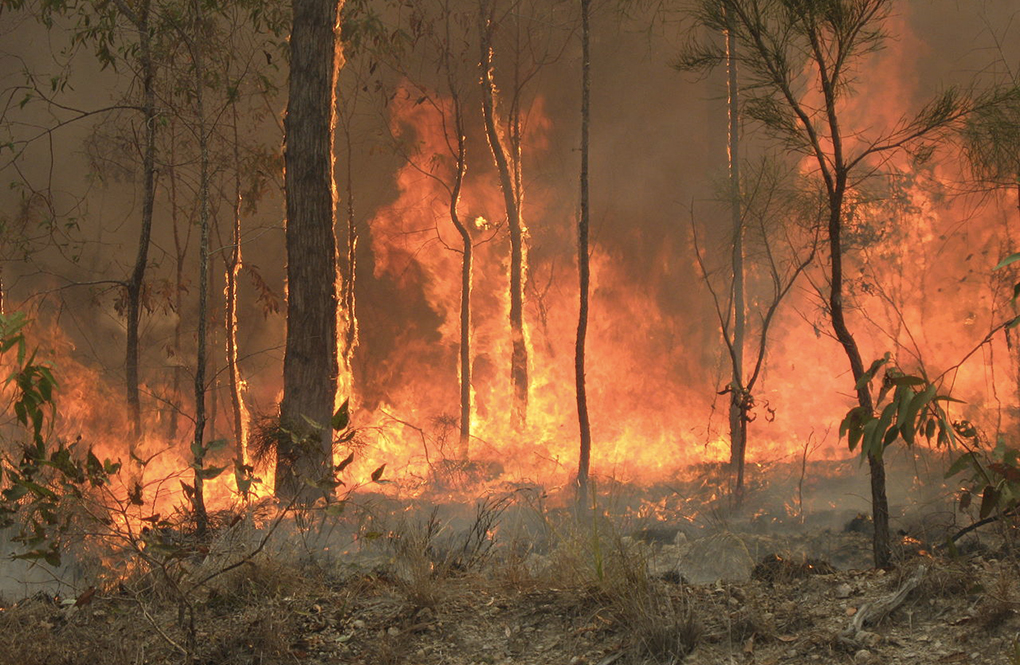Photo : Anthony Hearsey - visualisation 3D montrant tous les incendies ayant eu lieu depuis le 5 décembre 2019 en Australie