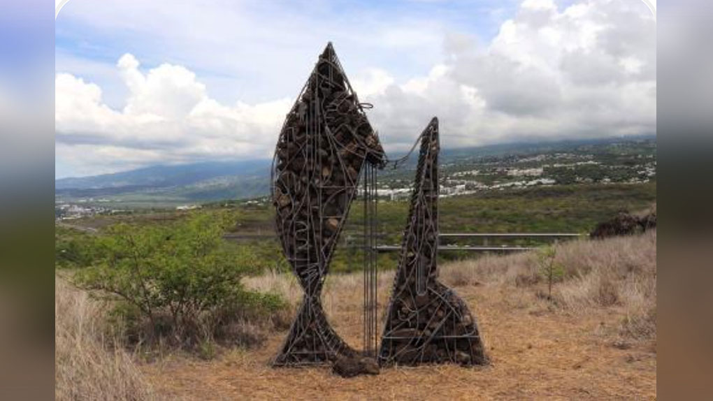 "La Harpe de Pandor" trône fièrement dans la savane de Plateau Caillou