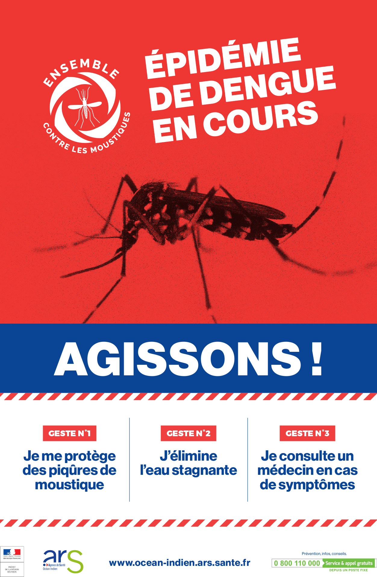 Dengue à La Réunion : la circulation de la dengue s’intensifie