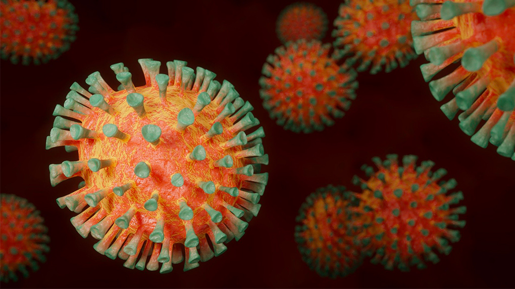Coronavirus : Le cap des 25 000 décès en France franchi