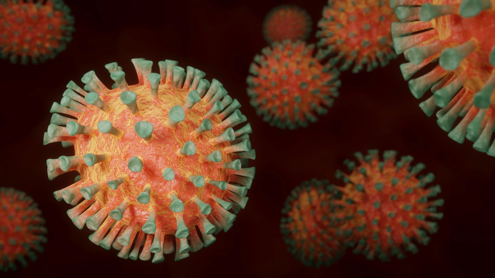 L'épidémie Covid-19 aurait débuté le 6 octobre selon une étude à laquelle a participé l’Université de La Réunion
