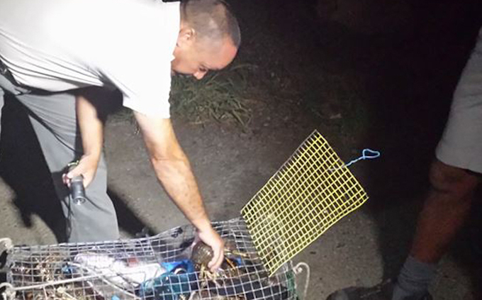 Pêche illégale : Trois braconniers interpellés, 53 kg de poissons et crustacés saisis
