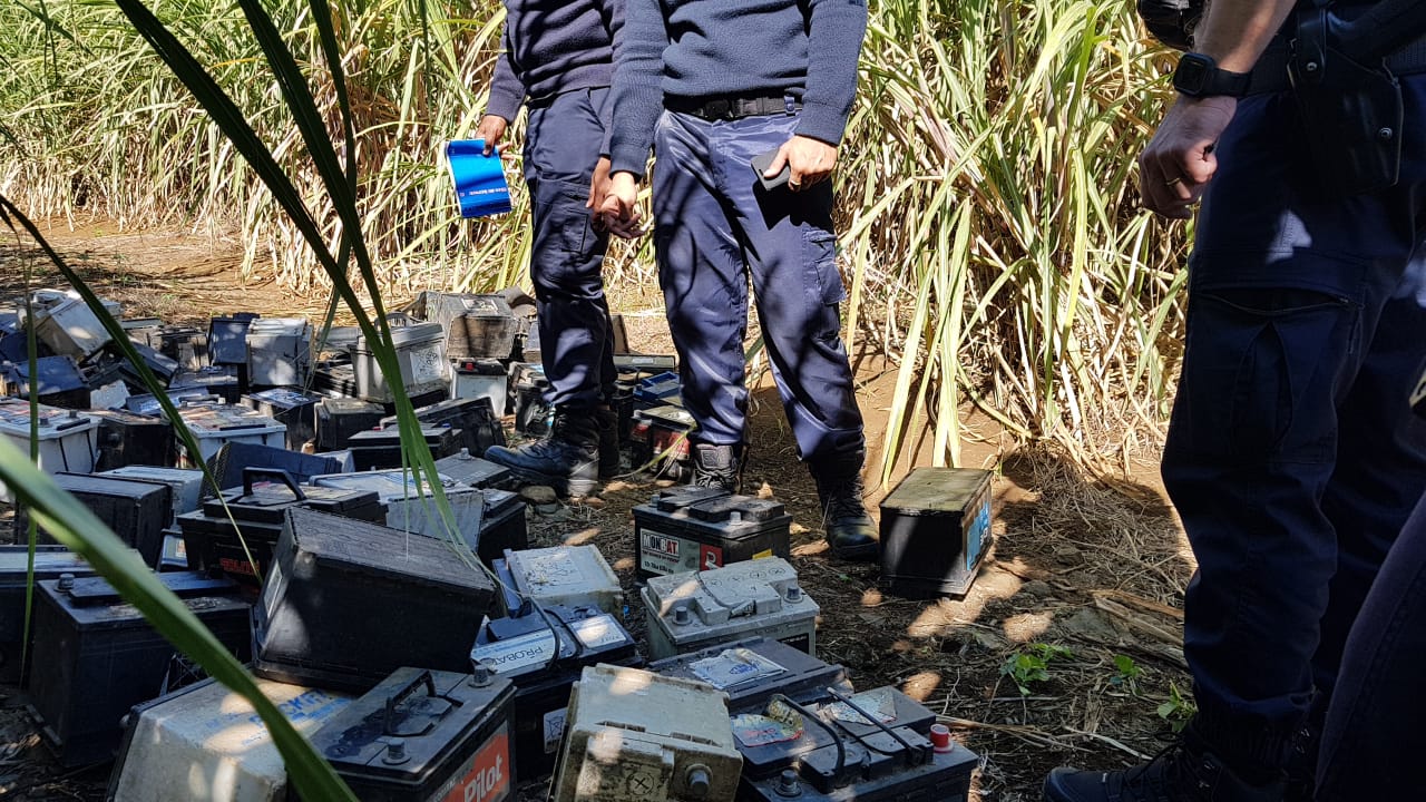 Makote puissance 1000 : Une centaine de batteries retrouvées dans un champ de cannes à Ste-Marie