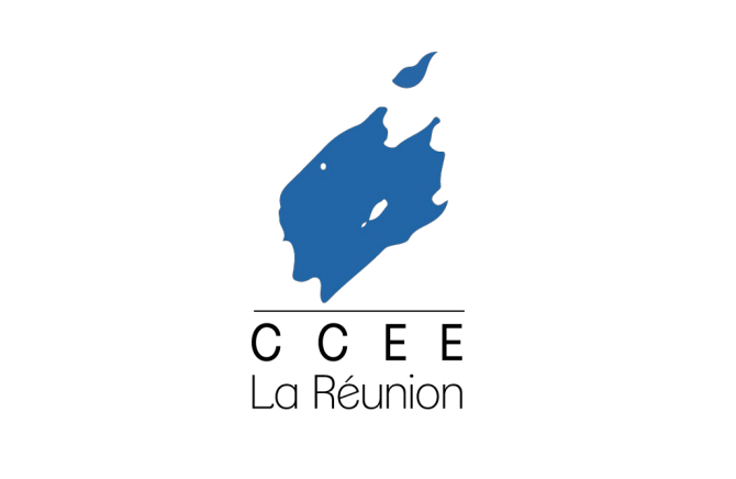Bilan d’activités et compte administratif de la Région de 2020 : La position du CCEE