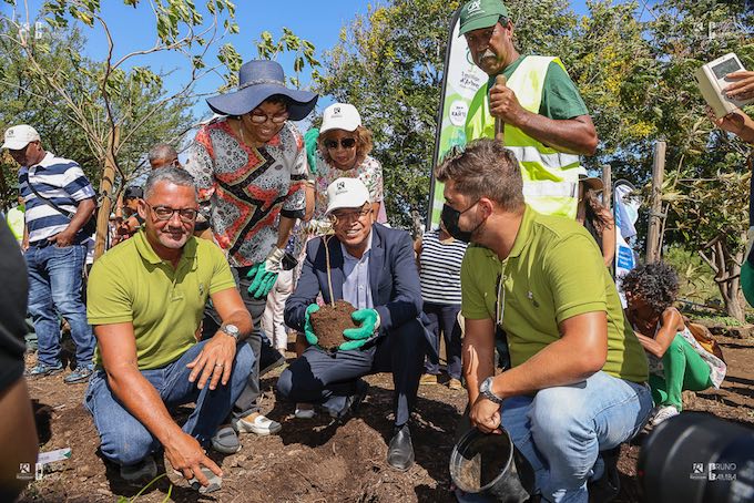 Plan 1 million d’arbres pour La Réunion : Un espace de respiration dans la savane du Grand Stella