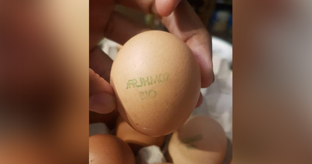 Salmonelles : Des œufs produits à La Réunion rappelés