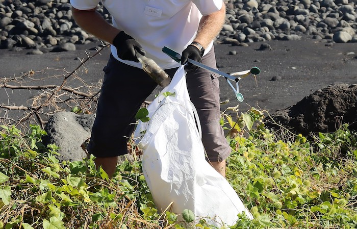 Cinq tonnes de déchets collectés en une matinée sur le littoral de la darse du Port