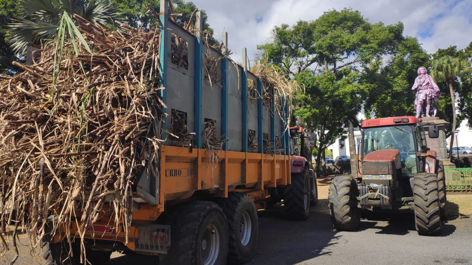 ​La Chambre d'Agriculture demande la sanctuarisation de la canne à La Réunion
