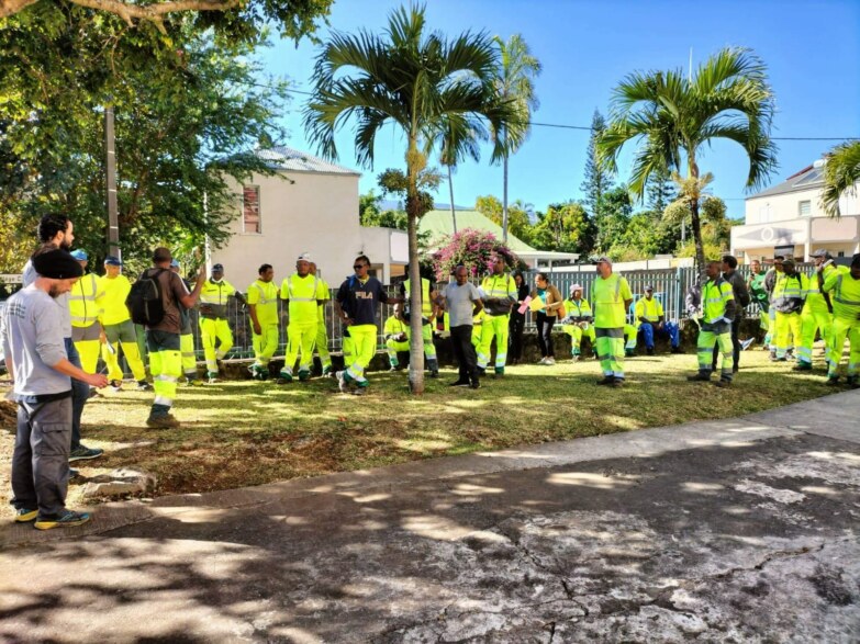 Les agents de la Ville de Saint-Paul sensibilisés à la lutte contre le tulipier du Gabon