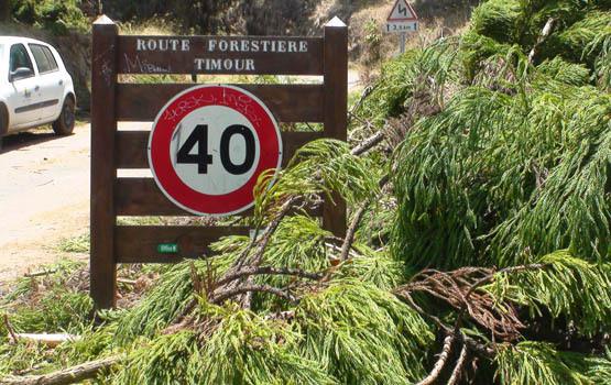 L'interdiction de circuler sur la route forestière du Tévelave maintenue jusqu'au 30 avril