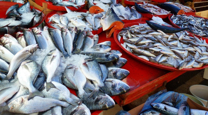 Petite pêche réunionnaise : Le Syndicat des Pêcheurs Professionnels de la Réunion satisfait de son échange avec le préfet