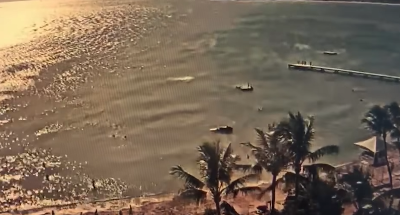 Capture d'écran vidéo Facebook - Nouvelle-Calédonie Prévention Requin