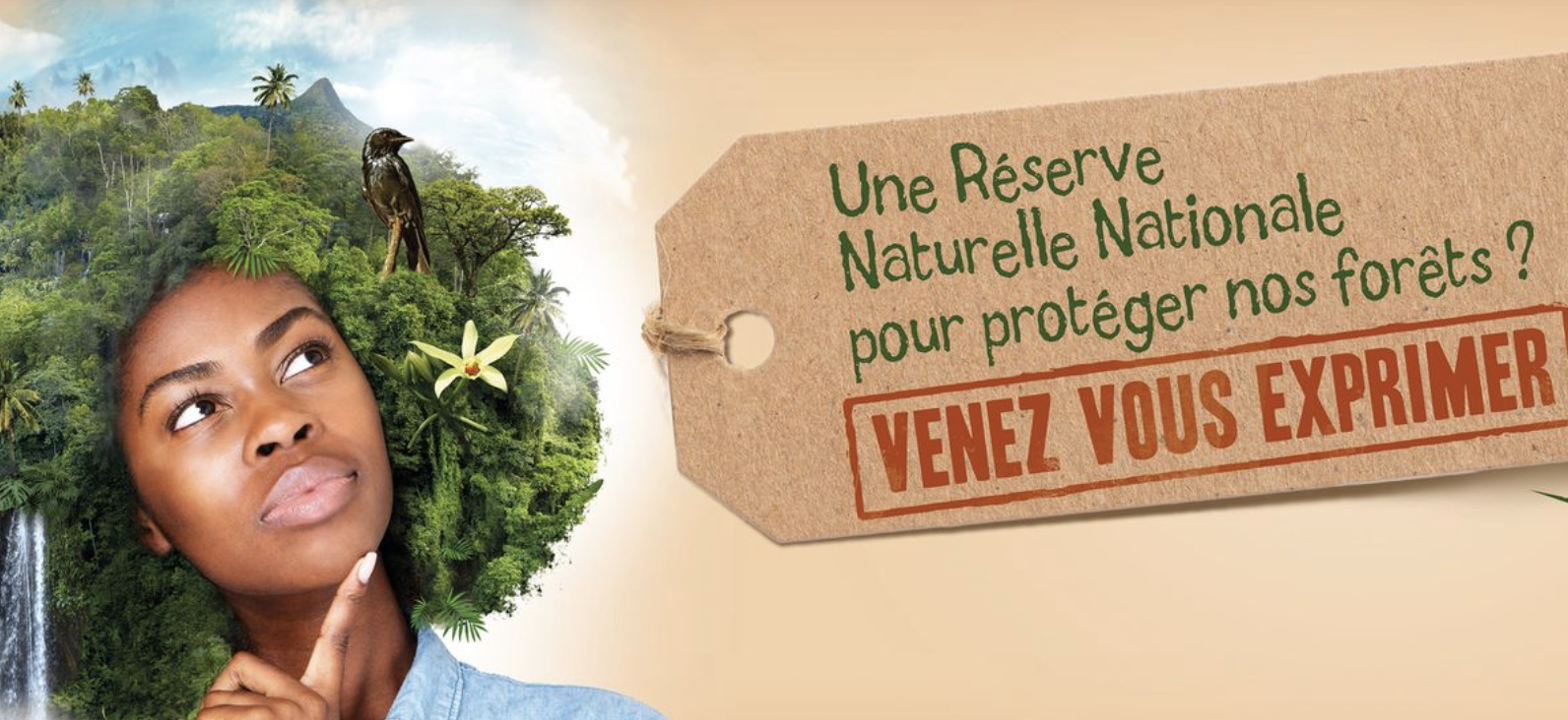 ​Protection des forêts: Mayotte passe à la vitesse supérieure avec la création d’une RNN