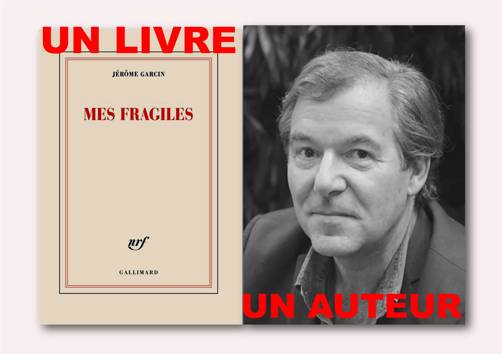 Un livre Un auteur : "Mes fragiles" de Jérôme Garcin