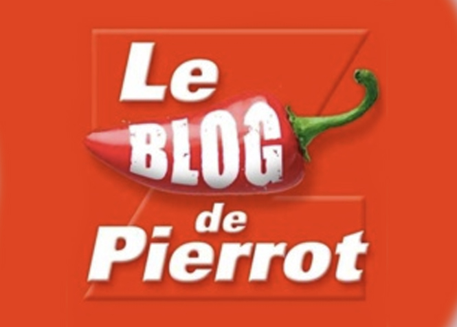 Le Top 10 des articles les plus lus sur le Blog de Pierrot