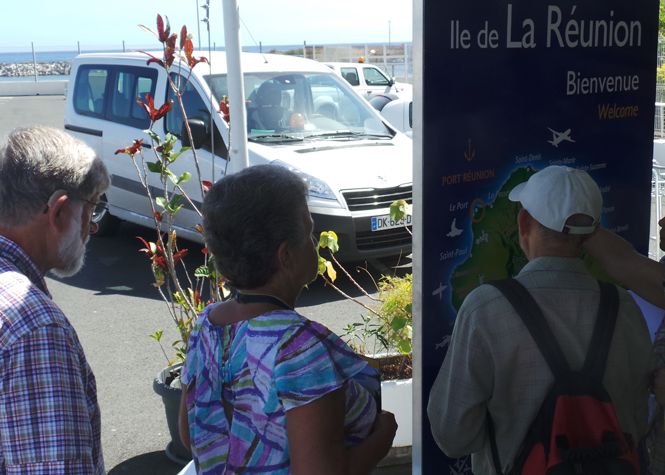 Iles Vanilles: Les combinés ne profitent pas encore à la destination Réunion