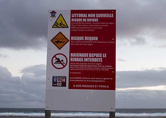 Attaque de requin: Baignade interdite et dispositif post-attaque activé