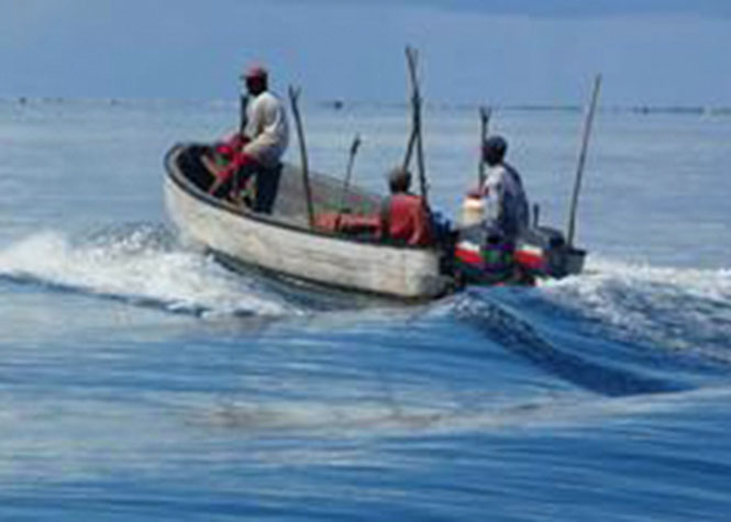 Un comité des pêches sera créé à Mayotte entre 2017 et 2019