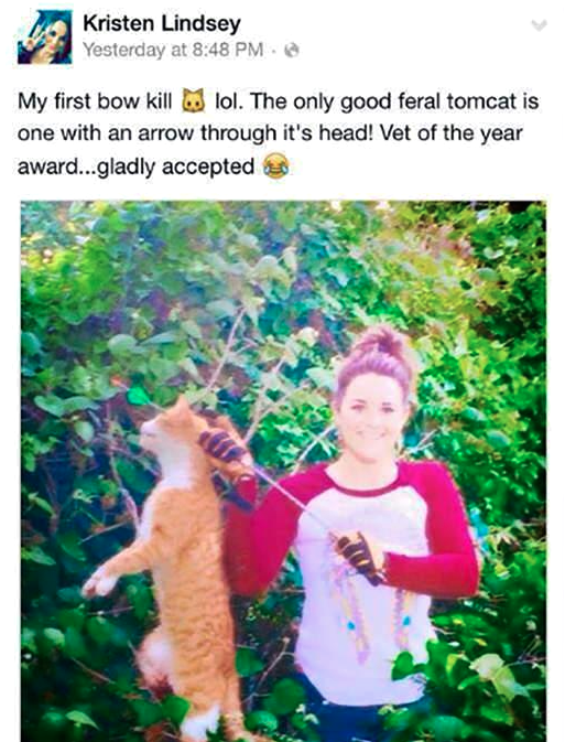 Une vétérinaire américaine tue un chat d'une flèche en pleine tête