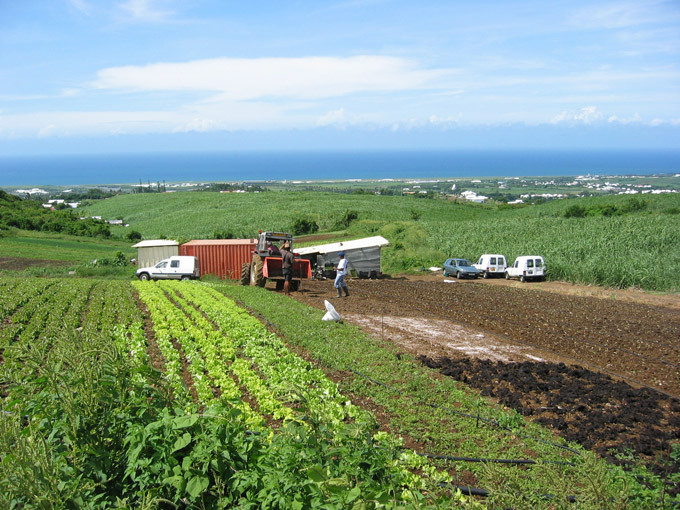 Candidatures ouvertes pour le Trophée des agricultrices de La Réunion