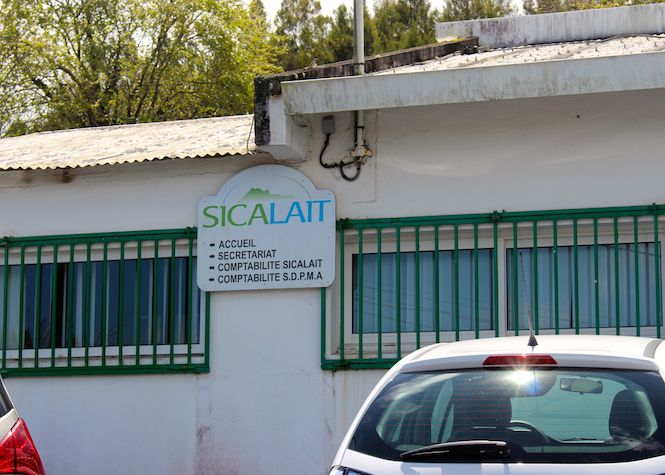 Gestion de la Sicalait et de ses filiales: Les éleveurs demandent des comptes